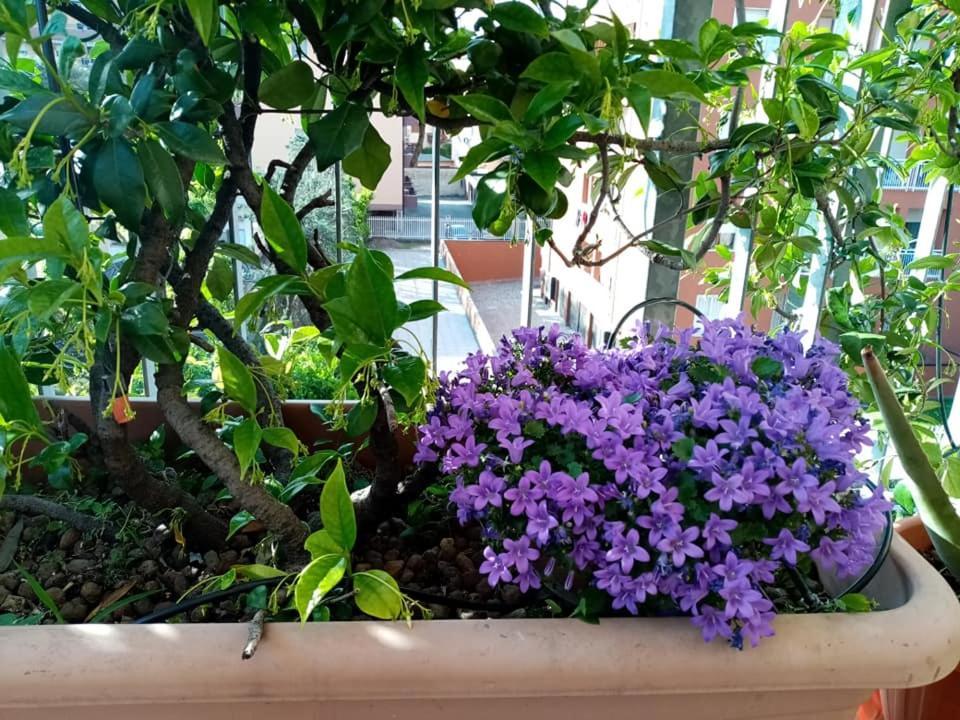 Appartamento Con Terrazzo A Горгонцола Экстерьер фото